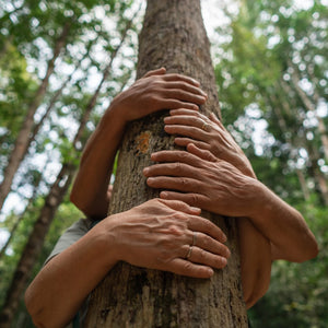 Essential Oil Roll On - Breathe Well Aromatherapy